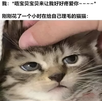 图片上方分两行展示文字，第一行是“我：*唔宝贝宝贝来让我好好疼爱你~~~~*”，表现出主人对猫咪的亲昵语气；第二行是“刚刚花了一个小时在给自己理毛的猫猫：”，引出下方猫咪的特写镜头。图中猫咪有着灰白相间的毛发，一只手正在轻轻抚摸它的头顶，而猫咪则睁着一双蓝色的眼睛，表情平静中带着一丝无奈，仿佛在无声抗议自己刚整理好的毛发又被弄乱。