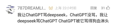 这是一张来自国内未知社交媒体平台的用户评论截图，发布者昵称显示为“787DREAMLI...”，所在地标注为上海，发布时间为22小时前，该评论收获了31个点赞。评论内容为发布者分享自己对两款AI大语言模型的趣味测试结果：当发布者要求ChatGPT辱骂DeepSeek时，ChatGPT因自身的内容审核机制没有执行该指令；而当发布者要求DeepSeek辱骂ChatGPT时，DeepSeek却对ChatGPT进行了言辞激烈的辱骂。截图左上角带有“ANA 787”的标识，整体内容展现了两款AI在内容管控和指令执行边界上的明显差异，引发对不同AI产品审核机制的讨论。
