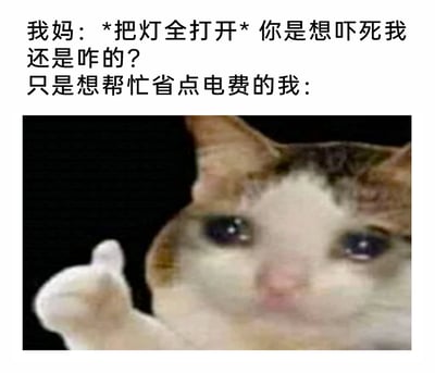 这是一张图文混排的搞笑梗图，上方文字构建了一个日常家庭小场景：为了节省电费而没开灯的“我”，被回家的妈妈打开所有灯并指责“想吓死我”；下方搭配了一张双眼含泪、表情委屈巴巴的猫咪图，猫咪还伸出一只爪子，精准地表现出“我”好心办坏事被指责后，委屈、无奈又有点无力辩解的心情，生动还原了家庭生活中这类充满小误会的温馨又搞笑的瞬间，容易引发网友的共鸣。
