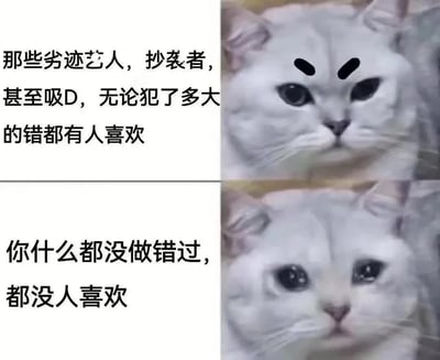 这张梗图通过两只猫咪的表情对比，表达了关于社会不公平和受欢迎程度的苦涩吐槽。上半部分的猫有画上去的粗眉，一脸严肃并略带嘲讽，配文字说就算那些劣迹艺人、抄袭者、甚至吸D，都有人喜欢。对比下半部分猫咪泪眼汪汪的委屈表情，配字表示‘你什么都没做错，也没人喜欢’，形成鲜明反差，揭示现实中‘好人反而难被喜欢’的无奈心情。整体风格幽默自嘲，有一定的双关意味，暗示社会热点现象。