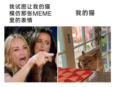 这是一张左右对比的拼接图，左侧是经典的网络MEME图，出自美剧《比弗利娇妻》，图中一位金发女性大张嘴巴激动大喊，伸出手指向前方，身旁的黑发女性表情平淡；右侧是主人拍摄的自家猫咪，猫咪趴在桌边，一脸冷漠地注视着镜头。图上方的文字分别标注“我试图让我的猫模仿那张MEME里的表情”和“我的猫”，通过主人的期待和猫咪冷漠无动于衷的反应形成强烈反差，制造出搞笑的效果，展现了宠物和主人互动时的趣味场景。