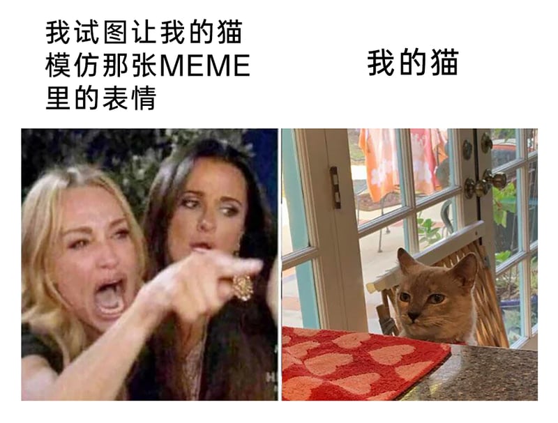 泰勒·阿姆斯特朗