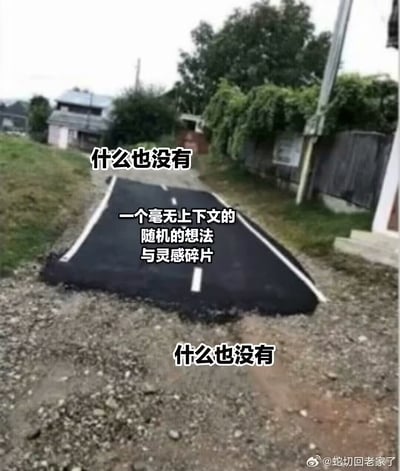 图片展示了一条乡村泥土小路，路中间突兀地铺设了一小段黑色柏油路面，形状不规则，仿佛随意拼接上去。画面背景有房屋、树木和栅栏，呈现出乡村环境。图片上方和下方分别叠加文字“什么也没有”，中间则有文字“一个毫无上下文的随机的想法与灵感碎片”，通过路面的突兀存在与文字内容形成幽默呼应，暗喻那些突如其来、缺乏逻辑的零散思绪。