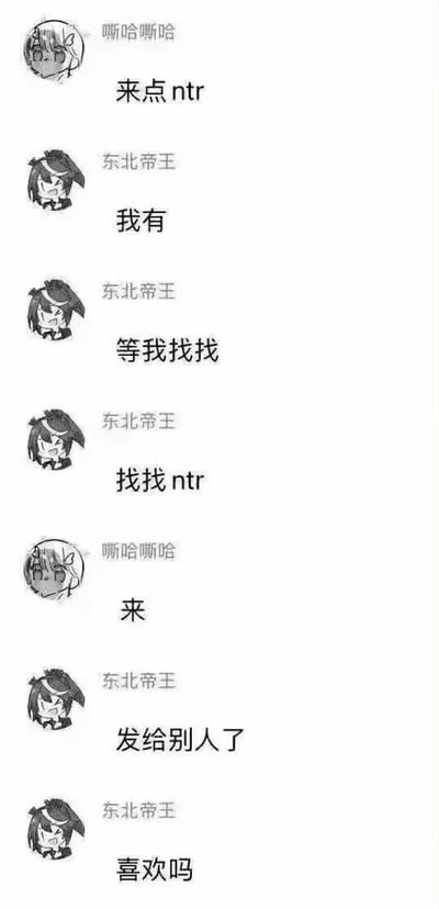 这是一张聊天记录截图梗图，展示了用户"嘶哈嘶哈"和"东北帝王"之间的对话。嘶哈嘶哈请求来点"ntr"内容，东北帝王表示自己有并开始寻找，最后却回复说"发给别人了"并反问"喜欢吗"，形成了一个搞笑的转折。图中人物使用了动漫风格的头像。