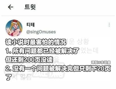 这是一张推特（X平台）的社交媒体截图，截图中的用户头自动漫《美少女战士》的月野兔，用户发布了一段引发读者共鸣的文字，总结了读小说时最害怕遇到的两种情况：第一种是故事里所有的矛盾和问题都已经得到解决，但书籍还剩下200页未读，剩余内容容易让读者感到拖沓，失去阅读兴趣；第二种是故事里的所有核心问题都还没有得到解决，但书籍仅剩下20页，这种情况会让读者担忧故事无法完整收尾，留下大量未填的伏笔和遗憾。右下角带有“譯製@李雄鷹”的水印，说明该内容是经过翻译制作后分享的。