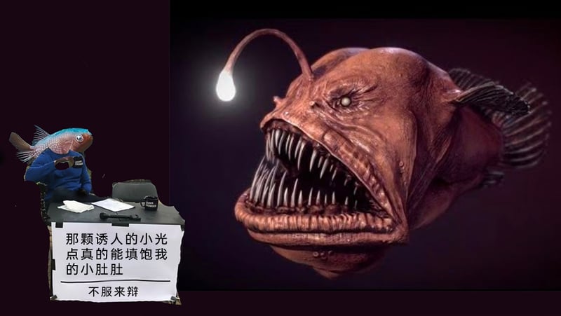 深海野生生物