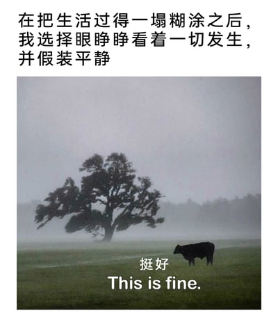 这是一张用来表达当代人情绪的自嘲梗图，上方配有文字“在把生活过得一塌糊涂之后，我选择眼睁睁看着一切发生，并假装平静”，下方是一张真实的暴风雨牧场摄影图：画面中雾气弥漫、风雨交加，一棵粗壮的大树被狂风刮得枝叶大幅弯折，姿态狼狈，一头黑色的肉牛静静站在被风雨笼罩的草地上，显得格外平静。图片下方还配有中英文文字“挺好 This is fine.”，整体用风雨中看似淡定的牛来隐喻在生活变得一团糟后，无力改变现状，只能强装镇定、自我安慰的普通人，精准地抒发了面对生活困境时的无奈感与假装平静的自嘲心态。
