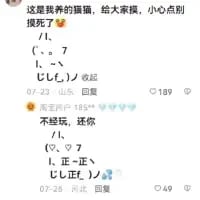 这是一张竖屏的微博社交媒体截图，属于纯文字类的趣味整蛊内容。楼主发布配文“这是我养的骗猫，给大家摸，小心点别摸死了”，并附上一段由标点符号、字母组成的类似猫的字符图案“( ˘•ω•˘ ) /ヽ、/ 、_7  し)ﾉ”，以此来玩整蛊梗；评论区有用户回复“不早说，还你”，同样附上了这段字符图案，反向整活，形成了搞笑的互动效果。
