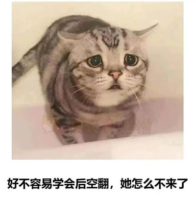 这是一张经过P图创作的搞笑表情包，创作者通过图像编辑软件对猫咪照片进行错位合成，将猫咪的身体和头部位置调整，营造出猫咪完成后空翻的视觉效果。图中的猫咪眼神委屈巴巴，满是失落感，下方搭配拟人化的文案“好不容易学会后空翻，她怎么不来了”，赋予猫咪为了在意的人努力学会技能，却没能等到对方的失落心境，用可爱的猫咪形象与心酸的情感形成反差，制造出既搞笑又带着一丝伤感的幽默效果，很容易引发人们对付出努力却未得到期待回应的情绪共鸣。