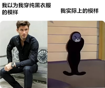 左右对比图展示了理想与现实的差距：左边是穿着纯黑衣服的自信男性模特，姿态挺拔，表情冷峻；右边是黑色卡通水獭形象，身体圆滚滚，表情不屑，形成幽默反差。通过夸张对比表达人们对穿搭效果的理想预期与现实状况的差距。