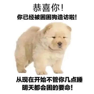 这是一张图文混排的静态单图梗图，画面主体是一只浅米色的松狮幼犬，它眼神惺忪、神态困倦，完美契合“困困狗”的设定。图中上方配有文字“恭喜你！你已经被困困狗造访啦！”，下方配有文字“从现在开始不管你几点睡明天都会困的要命！”，通过拟人化的“困困狗”概念，调侃无论前一天作息如何，第二天都会陷入困倦的状态，精准戳中打工人、学生等群体日常容易犯困的生活痛点，用可爱的动物形象搭配搞笑的文字，让这种对困倦的调侃显得轻松有趣，容易引发共鸣。