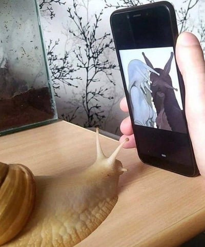 这是一张创意趣味合成图，画面中一只真实的大蜗牛趴在木质桌面上，它的头部和触角的形态，与旁边手机屏幕里展示的某二次元银发角色的造型高度重合，仿佛蜗牛就是该二次元角色的三次元现实原型。通过这种巧合的撞脸设计，制造出荒诞又搞笑的反差感，让人不禁感叹这种奇妙的相似性，充满了脑洞趣味。