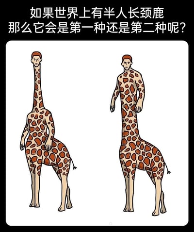 这是一张左右对比的趣味卡通创作图，顶部配有提问文字“如果世界上有半人长颈鹿 那么它会是第一种还是第二种呢？”。图中呈现了两种不同拼接逻辑的半人长颈鹿形象：左侧形象是人类头部搭配长颈鹿长脖子，上半身是带有长颈鹿斑纹的人类躯干与手臂，下半身是长颈鹿的下肢和躯体；右侧形象是人类头部与上半身手臂，下半身衔接长颈鹿的长脖子、躯干和下肢，两个形象全身都带有标志性的长颈鹿斑纹，均呈站立姿态，表情严肃。整幅图通过两种反常规的生物拼接方式，以趣味脑洞的形式引发观者对“半人半兽”形态的讨论与思考，风格诙谐搞笑。