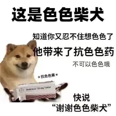 图片中是一只面带微笑的柴犬，前爪捧着一盒标注为“Androcur 50 mg tablet”的药盒。上方大字标题写着“这是色色柴犬”，下方配有多段调侃文字：“知道你又忍不住想色色了”“他带来了抗色色药”“不可以色色哦”“快说 ‘谢谢色色柴犬’”，药盒旁还有“*抗色色藥*”的注释。整体通过拟人化的柴犬形象和幽默文字，以“色色”（网络用语，指低俗或暧昧想法）为核心梗，营造出一种轻松调侃的氛围，用“抗色色药”的虚构概念劝诫对方不要有不当想法。