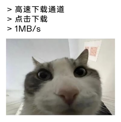 图片上方用黑色文字列出“高速下载通道”“点击下载”“1MB/s”等常见的诱导性下载提示，下方则是一张近距离拍摄的猫咪特写——猫咪瞪着圆溜溜的大眼睛，表情看起来既惊讶又无辜，仿佛在对这种“高速”下载速度表示震惊。通过将夸张的下载宣传语与猫咪的呆萌表情结合，形成一种反差萌的搞笑效果，暗讽了那些声称“高速”实则速度缓慢的下载链接。