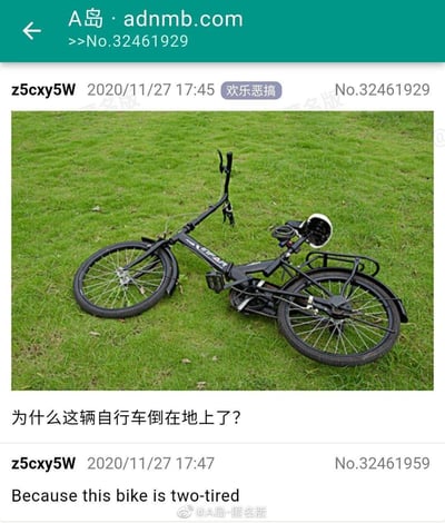 这是一张来自A岛匿名论坛的欢乐恶搞帖子截图，内容包含一张黑色自行车倒在绿色草地上的照片。帖子配文“为什么这辆自行车倒在地上了？”，随后楼主在两分钟后回复“Because this bike is two-tired”。这里巧妙运用了英语中“two-tired”（两个轮胎）与“too tired”（太累了）的谐音梗，通过双关语制造出冷笑话效果，让人会心一笑。