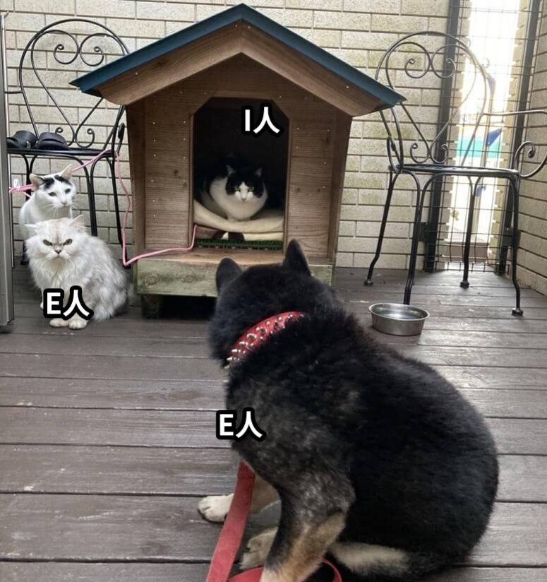 i人/e人