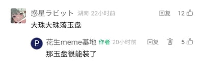 这是一张横版的社交媒体评论区截图，来自湖南的用户“惑星ラビット”使用卡通头像发布评论，引用了白居易《琵琶行》中的名句“大珠大珠落玉盘”，该评论获得了12个点赞；该内容的作者“花生meme基地”带有专属圆形标识，回复了一句玩梗调侃的话“那玉盘很能装了”，这条回复获得了5个点赞。两人的对话是对经典诗句的趣味解构与延伸，通过玩梗的方式制造出轻松幽默的互动效果，这类互动常见于meme类内容的评论区，借助大众熟知的经典内容进行改编，容易引发其他用户的共鸣。