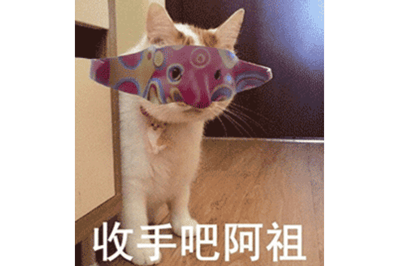 这是一张趣味搞怪的表情包，画面主体是一只毛色为白加浅橘的猫咪站在室内木地板上，它的嘴上卡着一个色彩艳丽、带有圆形花纹的夸张面具，刚好遮挡住面部，图片底部配有白色加粗文字“收手吧阿祖”，整体风格诙谐可爱，用萌宠结合经典梗的形式传递调侃的情绪。