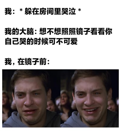 图片上方是三段文字，分别描述“我躲在房间里哭泣”“大脑提议照镜子看哭起来可不可爱”“我在镜子前”的情景。下方是两张并排的托比·马奎尔饰演的蜘蛛侠截图，左侧是悲伤哭泣的表情，右侧是试图在哭泣时挤出笑容的样子，形成幽默对比，展现内心戏与现实的反差萌。