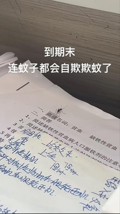 图片展示了一张写满医学相关手写笔记的纸张（内容涉及“缺铁性贫血”“口服铁剂注意事项”等），一只蚊子正停留在纸张中央。画面上方覆盖着文字“到期末 连蚊子都会自欺欺蚊了”，通过谐音梗“自欺欺蚊”（改编自“自欺欺人”），幽默地表现出期末复习期间学生面对繁重学习任务的调侃心态——连蚊子都被纸上的“血液名词”吸引，仿佛在自欺欺人地寻找血液，暗喻学生在压力下的自我调侃与无奈。