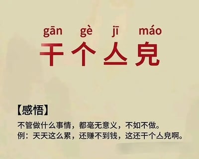 这张梗图把“干个人兔”四个中文字标注拼音，利用谐音“干个鸡毛”形成网络双关冷笑话，强调做事无意义的自嘲和吐槽氛围。下方“感悟”例句强化了丧气和调侃，适合年轻人职场或生活共鸣场合。

**趣味梗说明：**
此图主要点在于“千个人兔（干个人兔）”的拼音与“干个鸡毛”谐音，属于常见文字、语音玩梗现象。