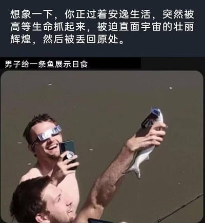 图中展示了水边的两名男子，其中一人将日食观测眼镜戴在被抓住的鱼脸上，让鱼'观看'日食，另一人戴着日食眼镜，举着手机兴奋地拍摄。上方配文脑洞大开：'想象一下，你正过着安逸生活，突然被高等生命抓起来，被迫直面宇宙的壮丽辉煌，然后被丢回原处。'下方标注'男子给一条鱼展示日食'。这个梗以拟人化的视角，将人类比作'高等生命'，调侃鱼原本安逸的水中生活被突然打断，被迫体验完全无法理解的宇宙奇观，充满荒诞搞笑的反差感。