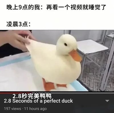 图片上半部分是两行文字，分别为“晚上9点的我：再看一个视频就睡觉了”和“凌晨3点：”，下半部分是一段视频截图，内容为一只白色鸭子被人用手抚摸背部，鸭子表情平静。截图下方有文字“2.8秒完美鸭鸭 2.8 Seconds of a perfect duck”以及视频观看信息“197 views · 11 hours ago”。整体通过时间对比（晚上9点计划睡觉 vs 凌晨3点仍在看视频）和鸭子视频内容，幽默地展现了人们熬夜沉迷短视频的常见现象，带有自嘲和无奈的情绪。