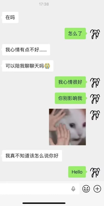 这是一张聊天记录截图梗图，展示了一段幽默的对话。一方心情不佳请求陪伴聊天，另一方却以"我心情很好，你别影响我"冷漠回应，甚至发送了一张猫咪被推开的图片，最后还回复"Hello"，形成强烈反差和喜剧效果。