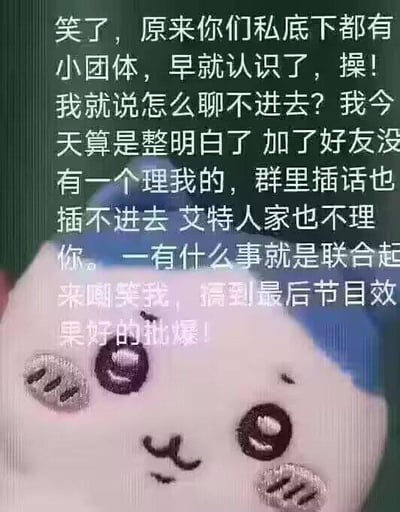 图片主体为一个戴着蓝色帽子、有着大大圆眼睛和腮红的可爱卡通玩偶，表情显得有些委屈。玩偶上方覆盖着一段较长的中文吐槽文字，内容表达了因被小团体排挤而产生的愤怒与无奈：“笑了，原来你们私底下都有小团体，早就认识了，操！我就说怎么聊不进去？我今天算是整明白了 加了好友没有一个理我的，群里插话也插不进去 艾特人家也不理 你。一有什么事就是联合起来嘲笑我，搞到最后节目效果好的批爆！” 文字情绪激烈，与玩偶的可爱委屈形象形成对比，整体用于表达在社交中被孤立的不满情绪。