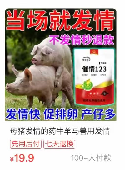 这是一张兽药产品广告图片，上方有红色大字"当场就发情"和紫色小字"不发情秒退款"。图片中央是两只猪的照片，一只猪正趴在另一只猪背上。右侧展示了"催情123"产品包装。下方有蓝色文字"发情快 促排卵 产仔多"，以及产品描述"母猪发情的药牛羊马兽用发情"。底部有红色按钮样式文字"先用后付 七天退换"，价格显示为¥19.9，并有"100+人付款"的标识。整体设计采用了典型的电商促销广告风格，图文结合突出产品功效和优惠信息。