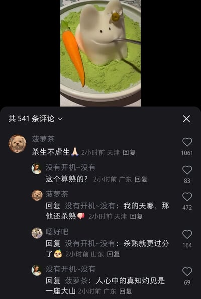 这是一张短视频平台的评论区截图，上方展示了一款造型可爱的兔子模样创意甜品，甜品被放置在撒有绿色粉末的盘子中，旁侧搭配胡萝卜装饰，还有勺子正切入甜品；下方是该视频的评论区，共有541条评论。热评用户“菠萝茶”以“杀生不虐生”调侃食用兔子造型甜品的行为，另一位用户“没有开机~没有”询问甜品是否为熟制，随后“菠萝茶”玩起谐音梗回复“我的天哪，那他还杀熟”，用户“嗯好吧”也附和“杀熟就更过分了”，“没有开机~没有”最后回复“人心中的真知灼见是一座大山”，评论区通过“杀生”“杀熟”的谐音梗制造趣味互动，将食用甜品的行为和“杀熟”（商家对老客户抬高价格的行为）的网络梗结合，充满趣味性。