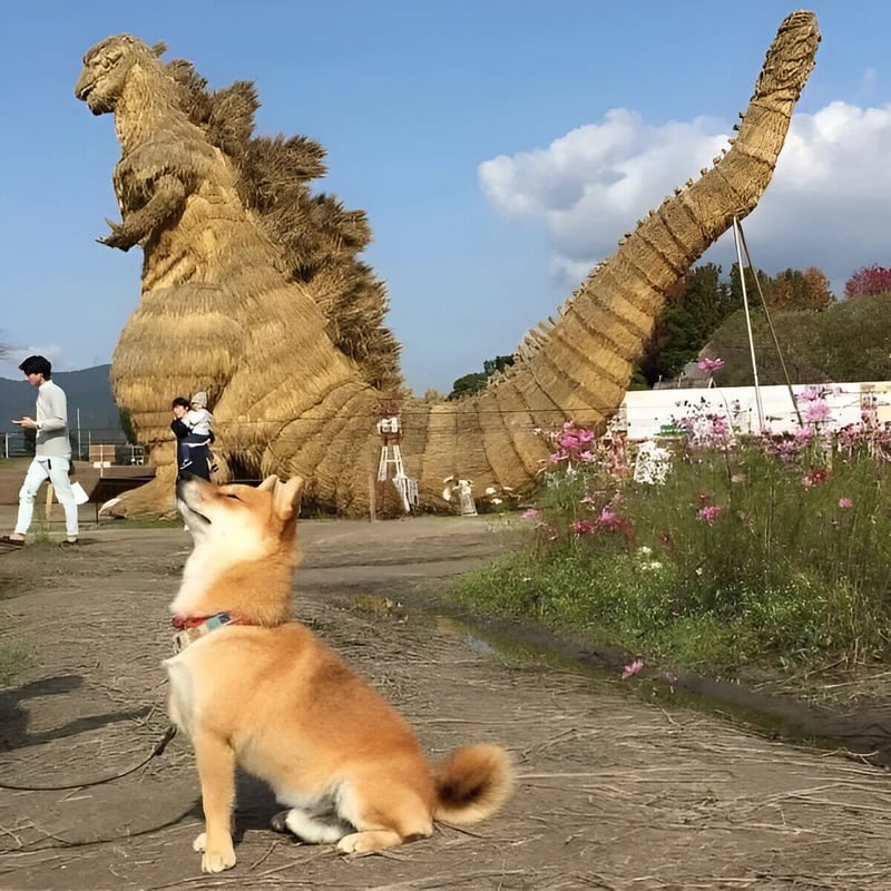 哥斯拉（哥斯拉系列电影）