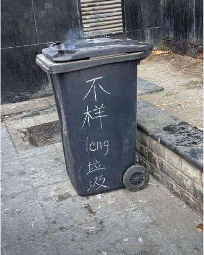 图片中是一个黑色带轮垃圾桶，放置在城市街头的人行道上，背景为深色斑驳的建筑物墙面和关闭的金属卷帘门。垃圾桶侧面用白色马克笔手写着“不一样 leng 垃圾”的字样，其中“不一样”和“垃圾”为中文，“leng”为拼音，字迹略显潦草。周围地面散落少量落叶和碎石，垃圾桶顶部盖子略微倾斜，整体呈现出日常街头的随意场景。