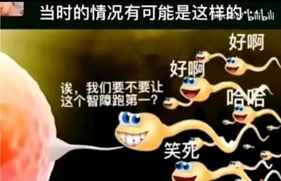 这是一张经过P图改编的静态搞笑梗图，画面以精子和卵细胞结合的生理场景为基础，进行了拟人化创作。画面左侧是一个卵细胞，一个卡通精子正咧嘴露齿、一脸得意地朝着卵细胞游动，即将完成结合；周围的其他卡通精子则带着戏谑的表情，配文互相调侃「诶，我们要不要让这个智障跑第一？」「好啊」「笑死」「哈哈」，顶部的文字「当时的情况有可能是这样的」则是对整个场景的总结。这张图用荒诞的拟人化场景，以自嘲的方式调侃自己是被其他「竞争对手」故意让着才成为「天选之子」，戳中了人们调侃自身「不够优秀却成为赢家」的心理，充满了黑色幽默和戏谑感。