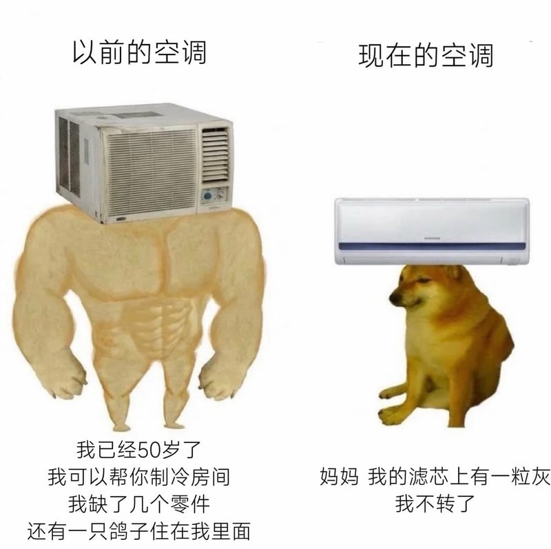 网红柴犬迷因