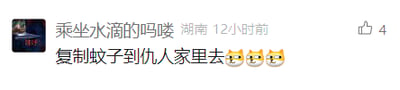 这是一张社交媒体评论的截图，评论用户名为“乘坐水滴的吗喽”，显示来自湖南，发布于12小时前，评论内容为“复制蚊子到仇人家里面去”，并附带三个呲牙坏笑的猫表情，该评论获得了4个点赞。内容是网友的搞笑脑洞，借助夏天蚊子会让人烦躁的特点，以“复制蚊子到仇人家”这种无厘头的方式表达对“仇人”的恶作剧式小报复，充满趣味性和生活化的笑点。