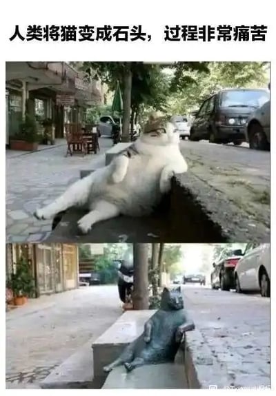 这是一张上下对比的趣味梗图，上图展示了一只肥硕的猫咪，神态放松惬意，四肢舒展地斜靠在街边的石台上，姿态十分慵懒；下图则是放置在同一位置的猫形雕像，其姿势与上图的猫咪完全重合。图片顶部配文“人类将猫变成石头，过程非常痛苦”，用夸张戏谑的语气制造笑点，实际上是现实中巧合出现的雕像与猫咪撞姿势的场景，被网友用来玩梗，营造出猫咪被“变成”石头的趣味效果，充满反差感和趣味性。