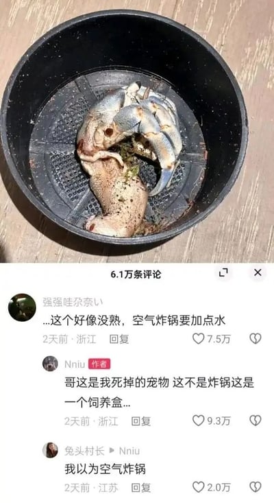 整张图分为上下两部分，上半部分是实拍画面：一只已经死亡的宠物蟹放在黑色带网格的圆形容器中，容器被放置在木纹桌面上，该容器外形和空气炸锅内胆高度相似。下半部分是该内容的评论区互动，共有三条高赞评论：第一位网友误以为容器是空气炸锅，里面的蟹是未烹饪熟的食物，提醒发布者用空气炸锅要加水；第二位是内容作者的回复，解释称这是自己死掉的宠物，容器是饲养盒而非空气炸锅；第三位网友表示自己也和第一位网友一样误以为这是空气炸锅，整个互动因误会产生强烈反差笑点。