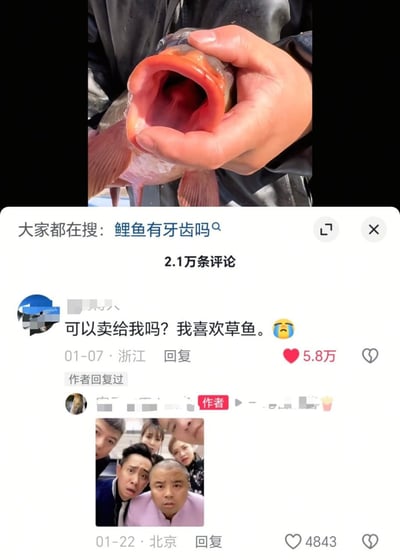 图片上半部分是一只手握着一条鲤鱼的特写，鲤鱼嘴巴张得很大，露出红色的口腔内部。下半部分是社交媒体评论区截图，显示热门搜索'鲤鱼有牙齿吗'，下方有一条高赞评论'可以卖给我吗？我喜欢草鱼。'并配有哭泣表情，获得5.8万点赞。作者随后回复了这条评论。