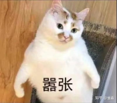 这是一张经过P图改编的文字加注类表情包，图中一只白棕相间的胖猫咪身体后仰，坐在类似猫抓板的物体上，两只前爪自然下垂，眼神看起来懵懂中带着一丝拽感。在猫咪的腹部位置添加了醒目的黑色“嚣张”二字，猫咪的姿态和文字形成有趣的反差，让原本普通的猫咪照片变得充满戏谑感，用来表达自己理直气壮、无所畏惧的拽态度，或是调侃他人的嚣张行径，十分适合在日常聊天中使用。
