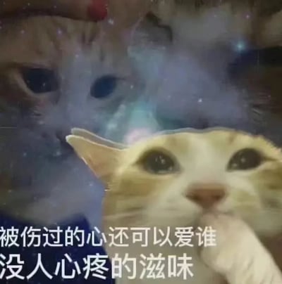 图片主体是一只表情忧郁的橘猫特写，背景添加了梦幻的星空光斑效果。在橘猫面部前方，叠加了一只表情惊讶、眼睛圆睁的黄白猫头像。图片底部有一行白色文字："被伤过的心还可以爱谁 没人心疼的滋味"，整体营造出一种感伤、忧郁的氛围，通过猫咪的表情与文字内容形成情感共鸣。