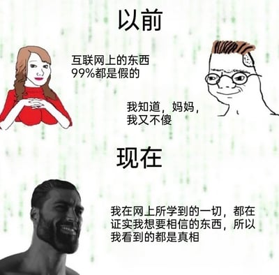 这是一张上下对比式的网络meme图，分为「以前」和「现在」两个板块。「以前」板块中，一位卡通妈妈形象的人物提醒孩子“互联网上的东西99%都是假的”，孩子则回应自己明白这个道理，表现出对网络信息有基本的警惕心；「现在」板块使用知名梗图GigaChad的形象，配文表达出当下的自己只愿意相信网络中符合自身预期的信息，认为自己看到的都是真相。整张图通过强烈的对比，讽刺了人们在网络环境中逐渐陷入信息茧房，失去对信息的客观辨别能力，只选择相信符合自身固有认知内容的现象。