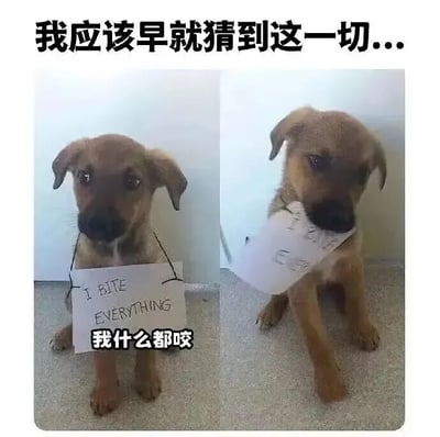 这是一张左右对比的宠物梗图，左侧是一只棕色小狗坐立着，胸前挂着写有‘I BITE EVERYTHING 我什么都咬’的白色牌子，表情看起来有些无辜；右侧是同一只小狗，原本的牌子已被它叼在嘴里并咬得皱巴巴，眼神略带愧疚。图片顶部配有文字‘我应该早就猜到这一切...’，通过小狗‘预言’自己咬东西的行为并实际践行，形成幽默反差，展现出宠物调皮捣蛋的可爱一面。