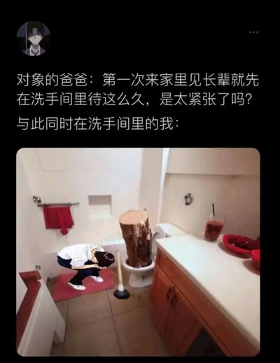 这是一张幽默梗图，上方文字描述了见家长时的尴尬场景：对象的爸爸疑惑“第一次来家里见长辈就先在洗手间里待这么久，是太紧张了吗？”，下方配图则揭示了真相——“我”正在洗手间里焦急地用 plunger 处理被一大块木头堵塞的马桶，形成了爸爸的误解（以为紧张）与实际情况（马桶堵塞）之间的搞笑反差。