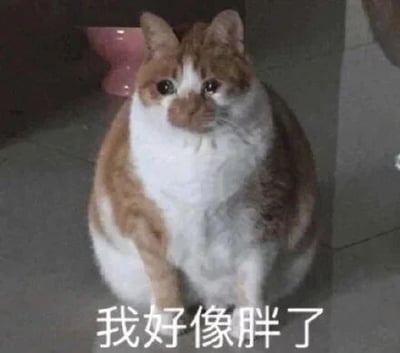这是一张静态的文字加注表情素材图，画面主体是一只橘白配色的圆胖猫咪，它端坐在地面上，眼神带着委屈，神情惆怅低落。图片下方配有白色文字“我好像胖了”，将猫咪的低落神态与文字内容完美结合，精准地传递出意识到自己发胖时的失落、无奈情绪，很容易引发有身材焦虑、体重困扰的人的共鸣，常被用作表情包在网络上传播，来抒发相关的心情。