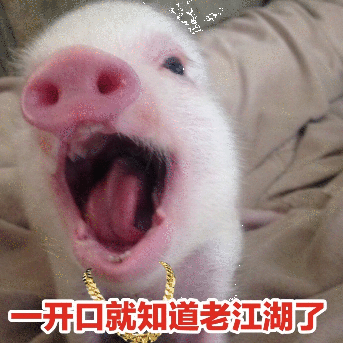 戴金链小猪开口：一开口就知道老江湖了