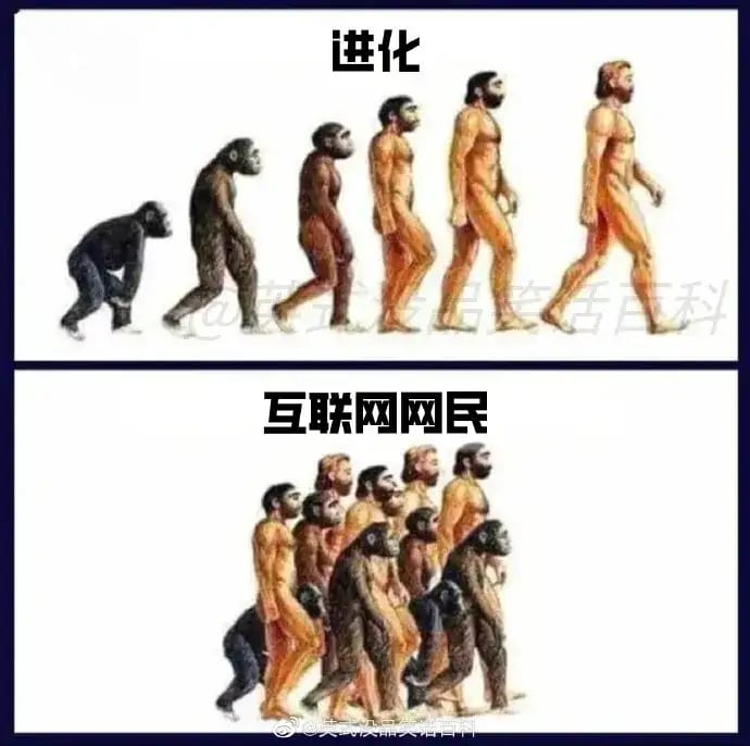 人类进化论/百科插画