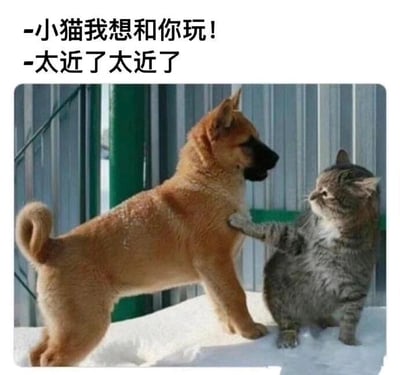 这是一张文字加注的静态单图，画面背景是雪地和金属围栏，一只浅棕色的小狗站在雪地上，身体热情地凑近一旁的灰色狸花猫，姿态看起来兴奋又期待；而灰色狸花猫则伸出一只爪子抵在小狗的胸口，表情带着明显的抗拒，似乎在阻止小狗靠近。图的上方配有两行拟人化的对话文字，分别对应小狗和小猫的行为：小狗说“小猫我想和你玩！”，小猫回应“太近了太近了”，生动地呈现出小狗的热情与小猫的抗拒之间的反差，用动物互动的场景调侃了社交中一方过度热情、另一方需要保持安全距离的情况，充满趣味。