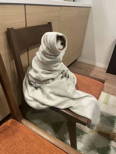 一只猫咪把自己裹在灰色连帽卫衣里，只露出小脑袋坐在木椅上，像个可爱的小粽子。背景是木质橱柜和地板，营造出温馨的居家氛围。猫咪的眼睛好奇地看着前方，整个画面萌感十足。